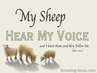 John 10:27 My Sheep Hear My Voice (beige)